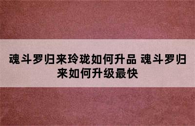 魂斗罗归来玲珑如何升品 魂斗罗归来如何升级最快